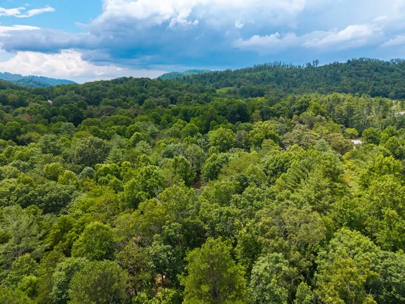 Drone photo over the tree canopy of a wooded lot in Western North Carolina