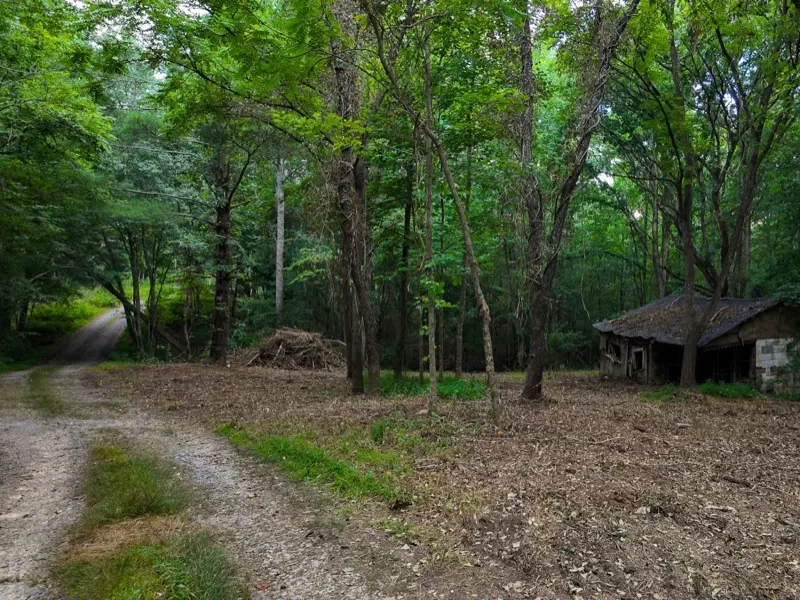 Gravel access road and an old cabin on a wooded lot