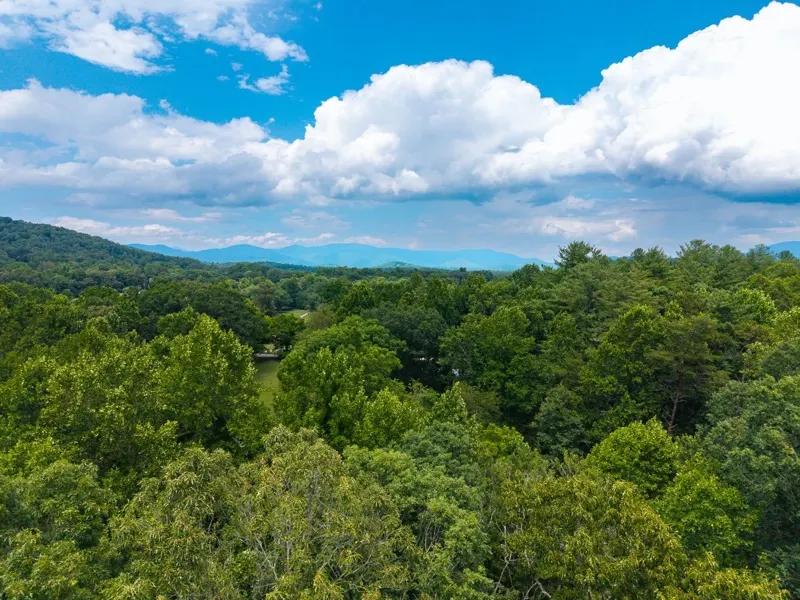 Aerial view over the treetops toward the Blue Ridge Mountains